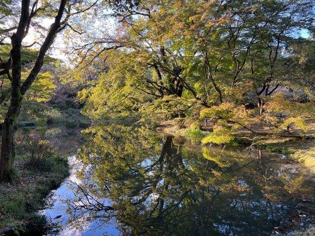 京都府立植物園