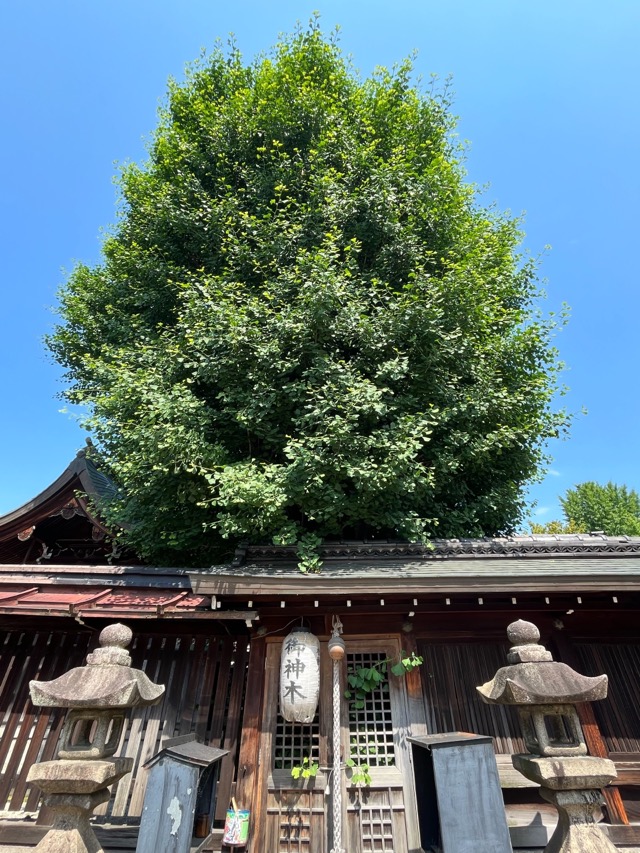 大将軍神社(東三條社)