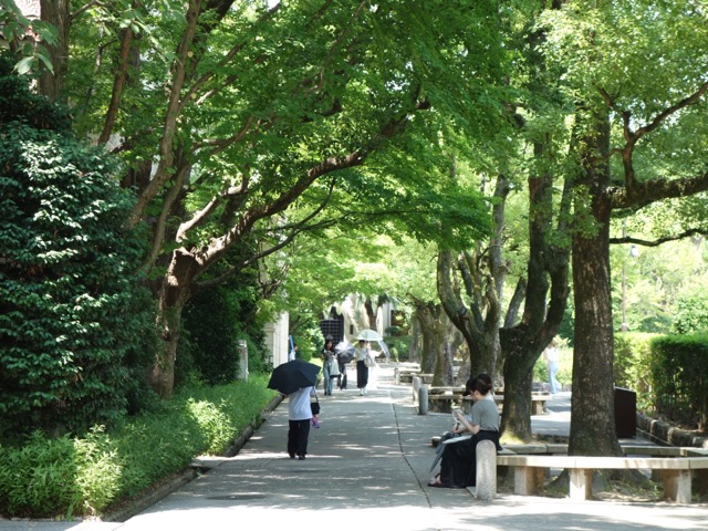 関西学院大学