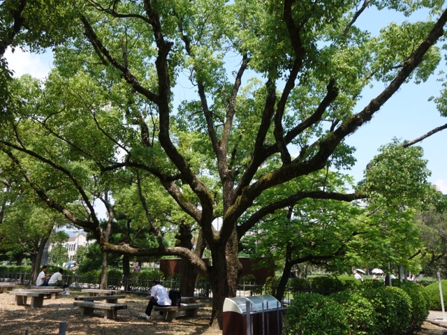 関西学院大学