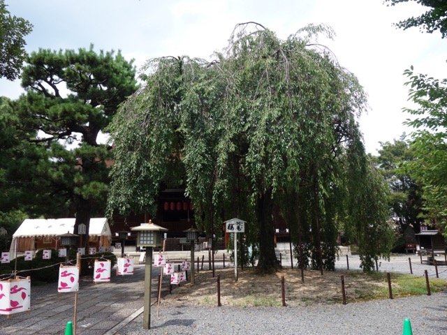大報恩寺(千本釈迦堂)