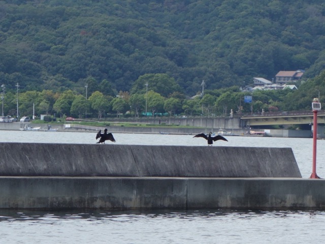 相生ペーロン海館