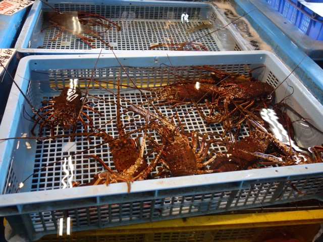 相生市立水産物市場