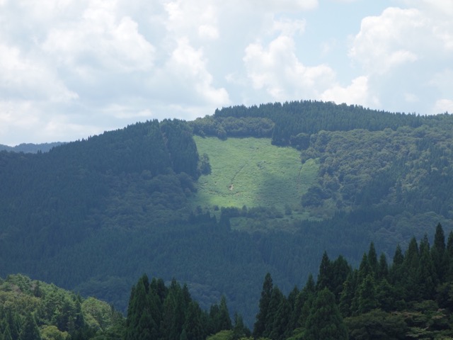 別宮の棚田