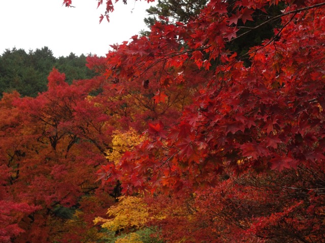 高源寺