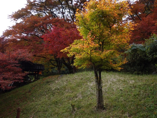 高源寺