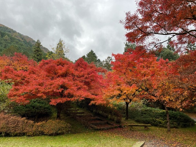 高源寺