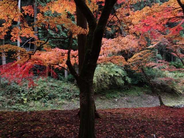 石龕寺