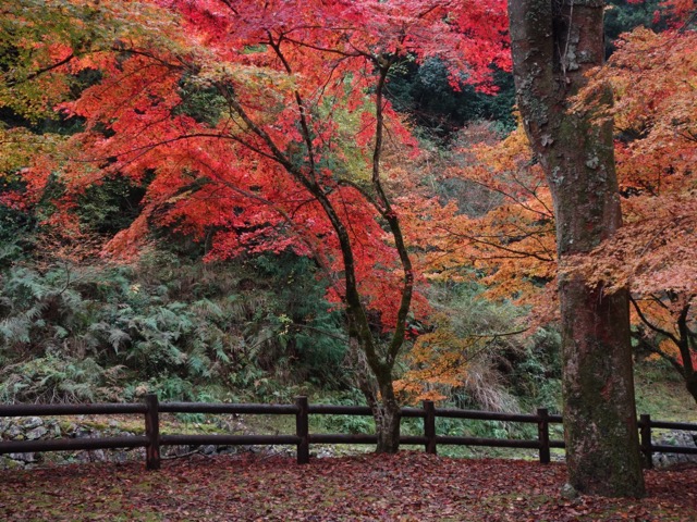 石龕寺