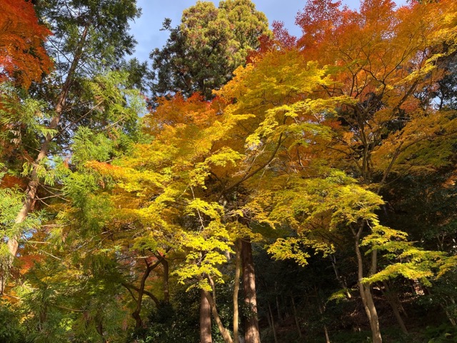 青岸寺