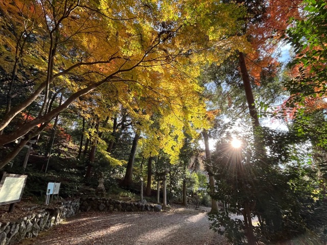 青岸寺