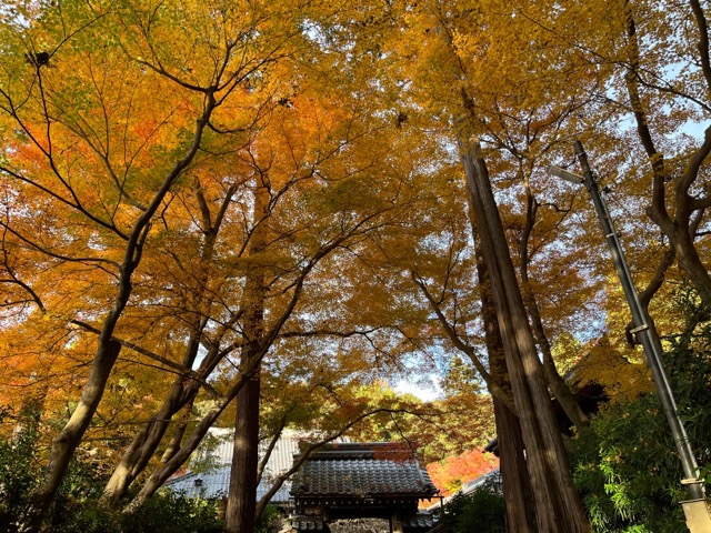 青岸寺