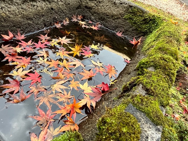 青岸寺
