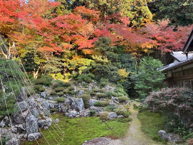 青岸寺