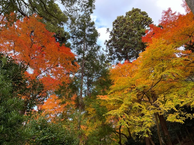 青岸寺