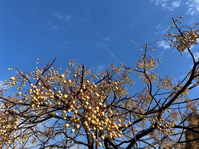 広島みなと公園