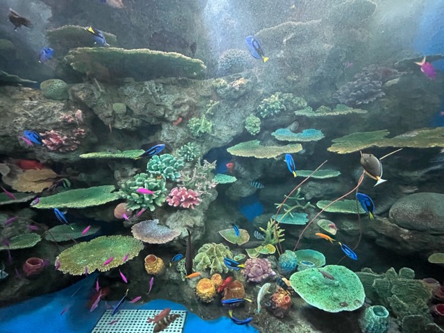 神戸須磨シーワールド