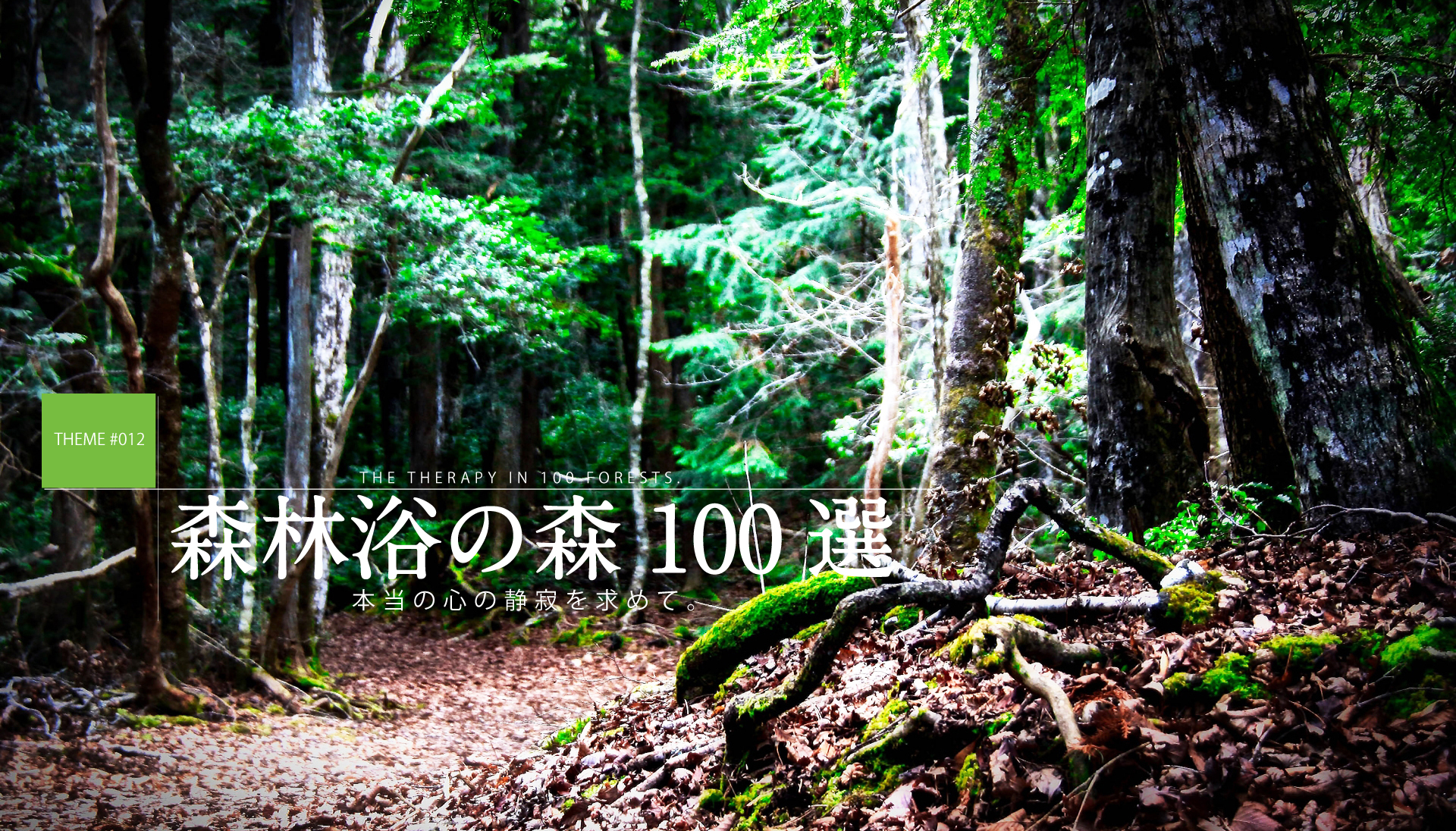 テーマで探す：森林浴の森100選