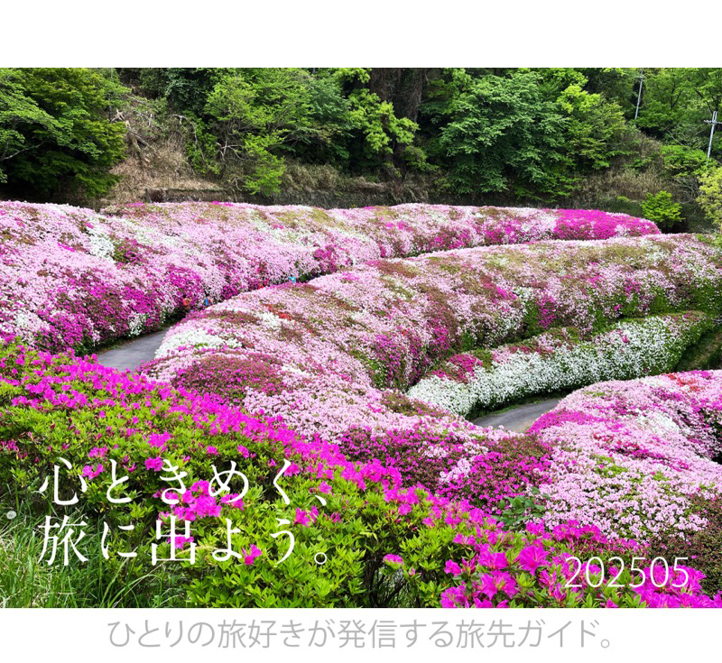 tabicocoloタイトル