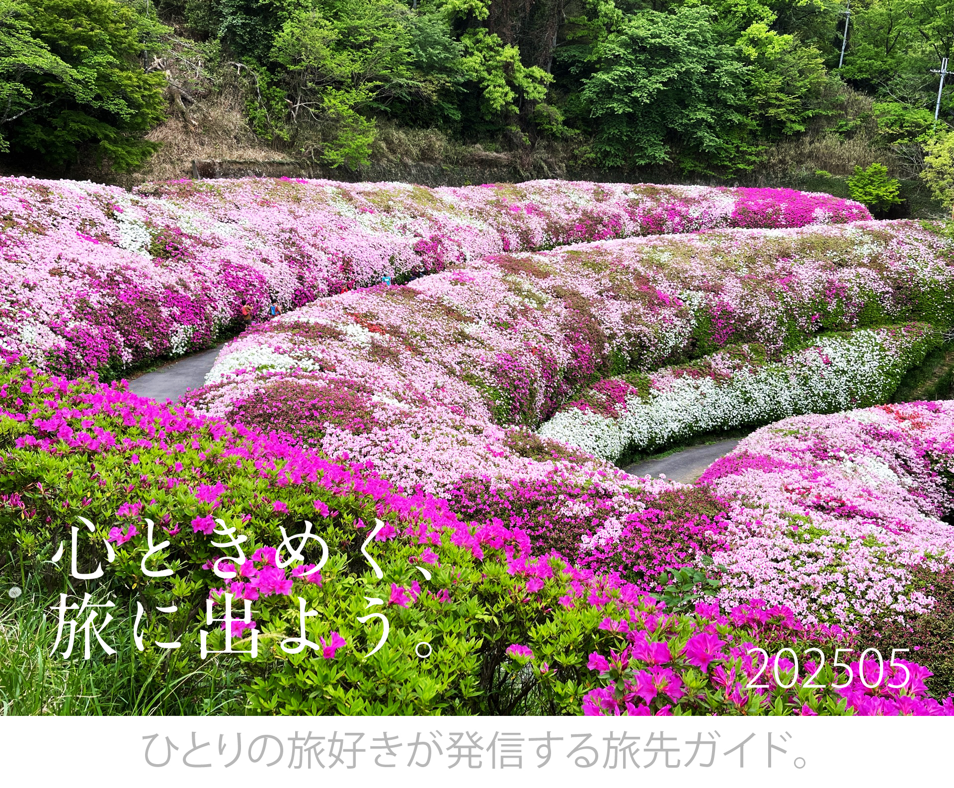 tabicocoloタイトル
